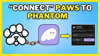 How To Connect Paws To Phantom  Wallet [FASTEST WAY]