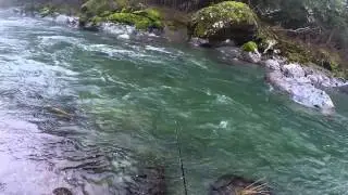 Steelhead fishing in Oregon