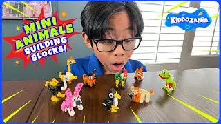 Building Mini Animal Block Toys | Fun Playtime with Hunter of Kiddozania