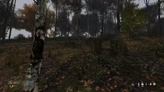 1 vs 3 DayZ