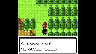 How to get a Miracle Seed in Pokemon Gold