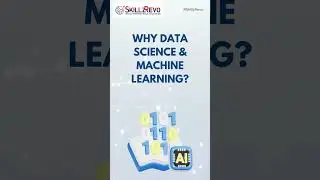 North America Data Science and Machine Learning Service Market 2024 - 2030