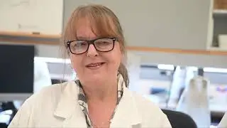 Hundreds of parasites donated to Otago Museum