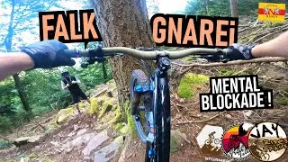 HEIDELBERG Königstuhl: Falknerei Hardline Fails & Gaisberg Trails / Mountainbike MTB Enduro
