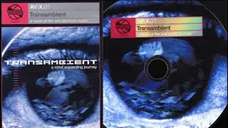 Transambient - a mind-expanding journey (AI upscale)
