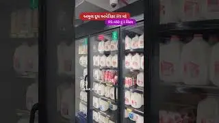 Amul Milk in USA #usavlog #jkjb #jkjb_vlog #jivya_karta_joyu_bhalu