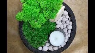 How to make a moss bowl with preserved moss