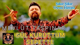 Gül Kuruttum Sepette ( Oyun Havası ) 2025 - Mevlüt Taşpınar