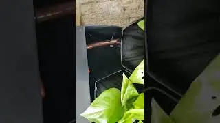Vertical garden Recycling water process watch till end🫨 #verticalgardening #trending #balconygarden