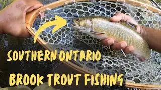 Southern Ontario Brook Trout Fishing Spring 2025