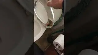 A Bathroom Warning About Centipedes
