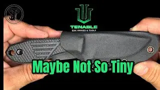 Tenable Tiny Dancer: Краткий обзор