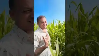 लगीन झाल्यावर दावीन इंगा 🤔🤭❤️❤️#viralreels #viralsong #trending #ytshorts