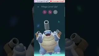 Pok&eacute;mon GO-Party Hat Blastoise Mega Evolution