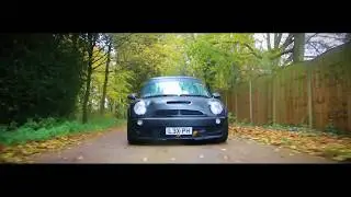 Wild Bagged Mini Cooper S