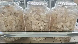 2025 Automatic Rock Candy Packaging Line: High-Speed Weighing, Filling & Sealing
