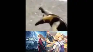 cuando busco gremio en tower of fantasy #juegos#toweroffantasyespa&ntilde;ol#anime#meme#mobile#pc