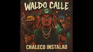 Waldo Calle - Chaleco Instalao 🦺🦺🦺