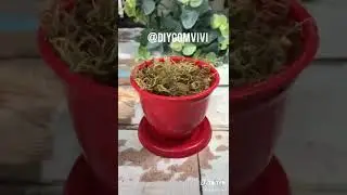 diycomvivi 1597368234 6860644293179100422