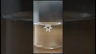 Unbelievable Microscopic Crystallization of Sugar in Water | ASMR Science #macroasmr #scienceasmr