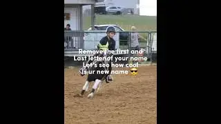 #eventer #horse #horselife #equestrian #horsefarms #pony #eventing #horseriding #ponyclub #edit #u