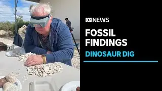 Inside the search mission for unique dinosaur fossils | ABC News