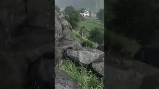 When You Meet John Wick in DayZ