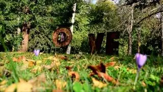 Una Boda con encanto (Promo)