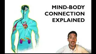 Mind Body Connection Explained