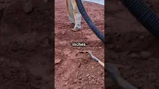 Drainage Pipe Sizes Decoded! Quick Guide #drainagesolutions #leakage