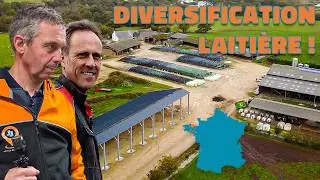 Ils vendent à la ferme…🚜 et ça cartonne : La plus belle ferme de France