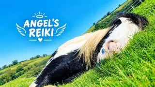 10mins within Angel's 90min Reiki and Energy-work session