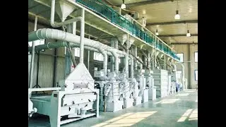 300-500TD Complete Rice Mill Plant  Rice Processing Plant for Sale #ricemillsupplier #ricemill