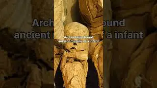 archeologist found ancient mummy of a infant #history #art #painting