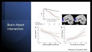 Stress and Adverse Cardiovascular Events