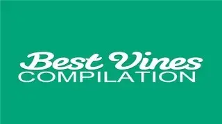 Best Vines Compilation - August 2013 1/2