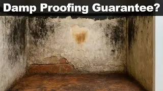 🎥 Damp Myths Busted: The £££ Mistake That Made Things Worse 🧱💧🐛