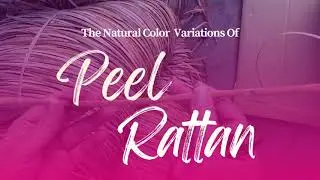 The Natural Color Variations of Peel Rattan