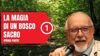 La magia di un Bosco Sacro (prima parte)