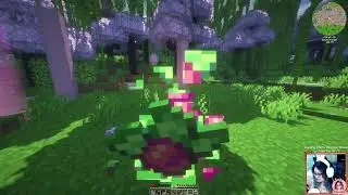 Cozy Minecraft-- Naptime modpack!