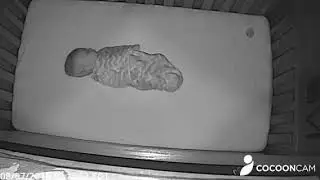 Cocoon cam