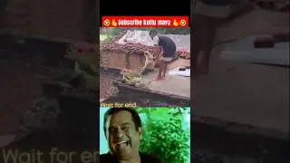 funny memes🤣💥 #telugumemes #shorts #memes