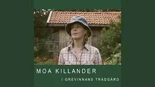 Humlor