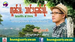တူၼ်ႈမႆႉ သၢင်ႈၽွၼ်းယႂ်ႇ Benefits of Trees EP.19