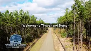 Welcome to Timberland Branch&hellip; nestled in the heart of East Texas, just 90 minutes north of Houston