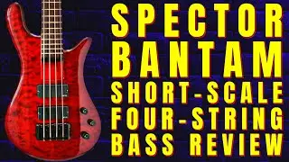 Бас-гитара Spector Bantam &mdash; лучшая ли это бас-гитара с короткой мензурой?