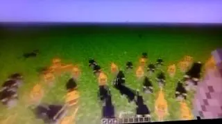 Cats go crazy over fish