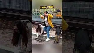 Dog Leads to Kitten Rescue&hellip;😍#shorts