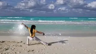 Sil Lum Hung Gar Kung fu Moves - Playa Cayo Santa Maria Cuba 2020