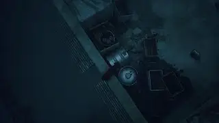 Stray PS5 Glitch